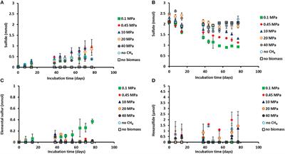 Pressure Selects Dominant Anaerobic Methanotrophic Phylotype and Sulfate Reducing Bacteria in Coastal Marine Lake Grevelingen Sediment